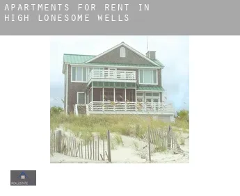 Apartments for rent in  High Lonesome Wells