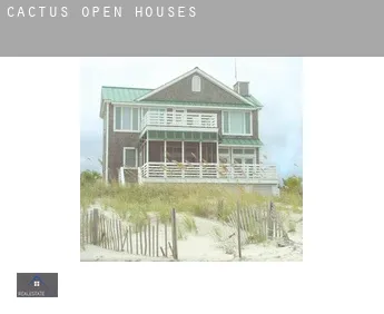 Cactus  open houses
