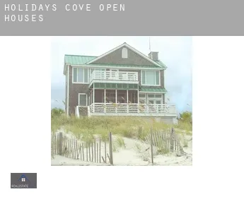 Holidays Cove  open houses