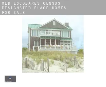 Old Escobares  homes for sale