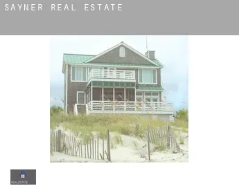 Sayner  real estate