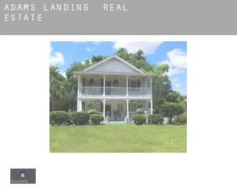 Adams Landing  real estate