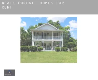 Black Forest  homes for rent