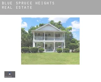Blue Spruce Heights  real estate