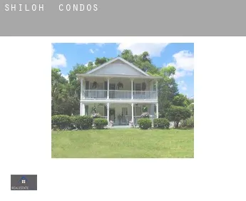 Shiloh  condos