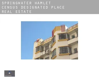 Springwater Hamlet  real estate