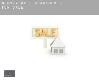 Burney Hill  apartments for sale