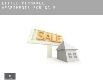 Little Kinnakeet  apartments for sale