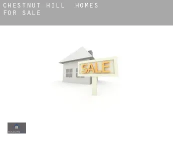 Chestnut Hill  homes for sale