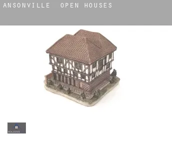 Ansonville  open houses