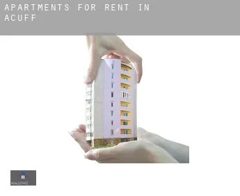 Apartments for rent in  Acuff