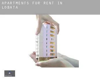 Apartments for rent in  Lobata