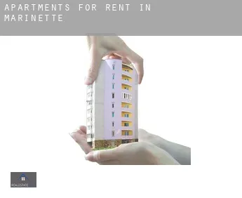 Apartments for rent in  Marinette