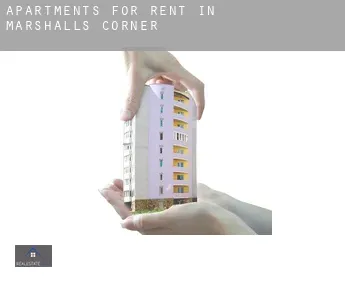 Apartments for rent in  Marshalls Corner