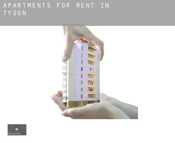 Apartments for rent in  Tyson