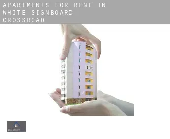 Apartments for rent in  White Signboard Crossroad