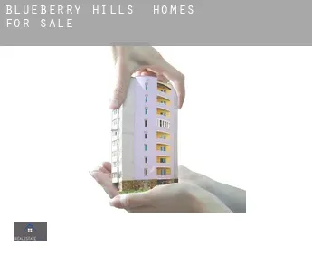 Blueberry Hills  homes for sale