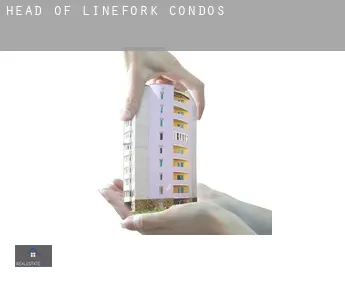 Head of Linefork  condos
