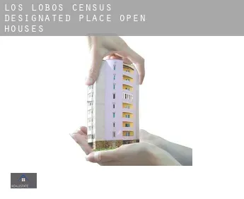 Los Lobos  open houses