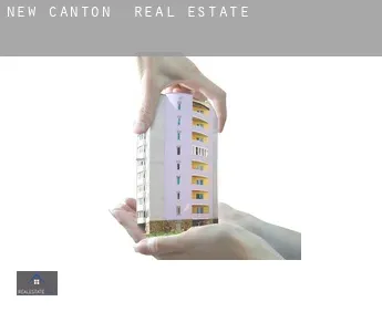 New Canton  real estate