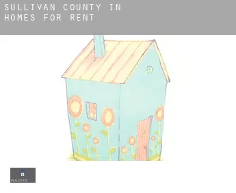 Sullivan County  homes for rent