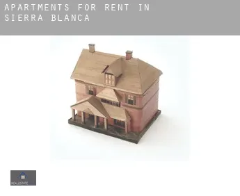 Apartments for rent in  Sierra Blanca