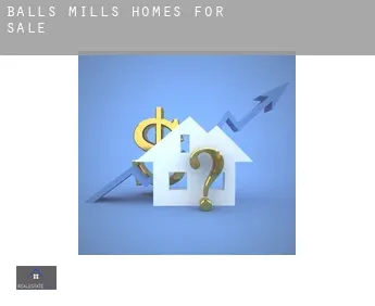 Balls Mills  homes for sale