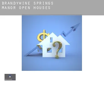 Brandywine Springs Manor  open houses