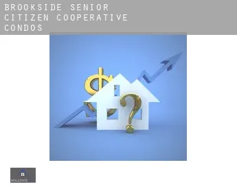 Brookside Senior Citizen Cooperative  condos