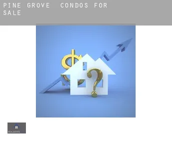Pine Grove  condos for sale
