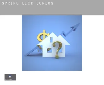 Spring Lick condos