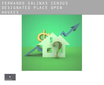 Fernando Salinas  open houses