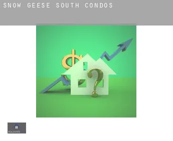 Snow Geese South  condos