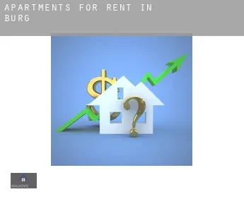 Apartments for rent in  Burg