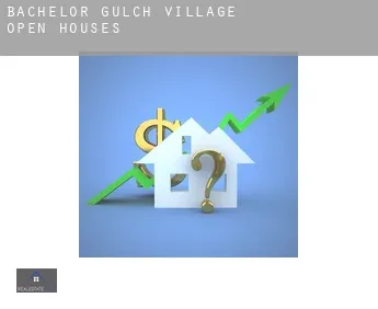 Bachelor Gulch Village  open houses