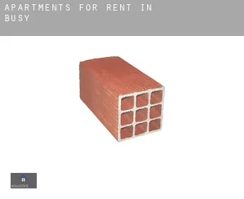 Apartments for rent in  Busy