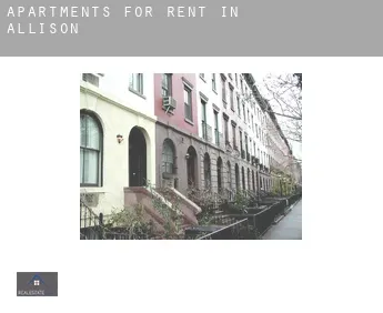 Apartments for rent in  Allison