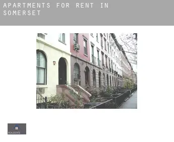 Apartments for rent in  Somerset