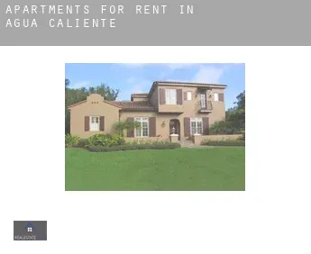 Apartments for rent in  Agua Caliente