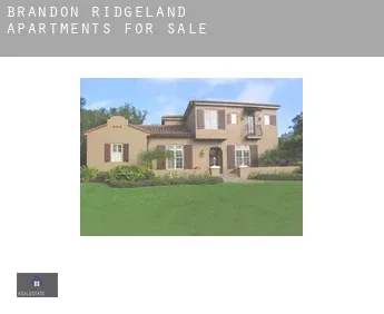 Brandon Ridgeland  apartments for sale