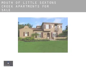 Mouth of Little Sextons Creek  apartments for sale