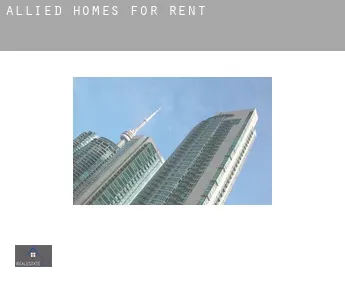 Allied  homes for rent