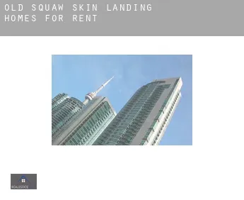Old Squaw Skin Landing  homes for rent