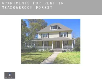 Apartments for rent in  Meadowbrook Forest