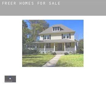 Freer  homes for sale