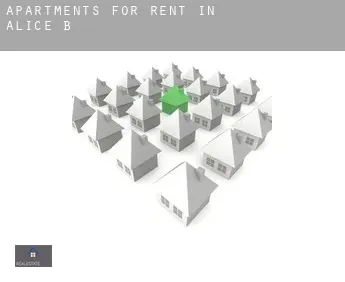 Apartments for rent in  Alice B