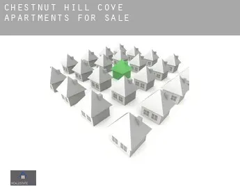 Chestnut Hill Cove  apartments for sale