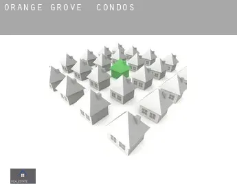 Orange Grove  condos