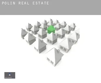 Polin  real estate