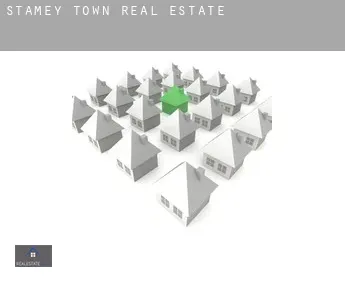 Stamey Town  real estate